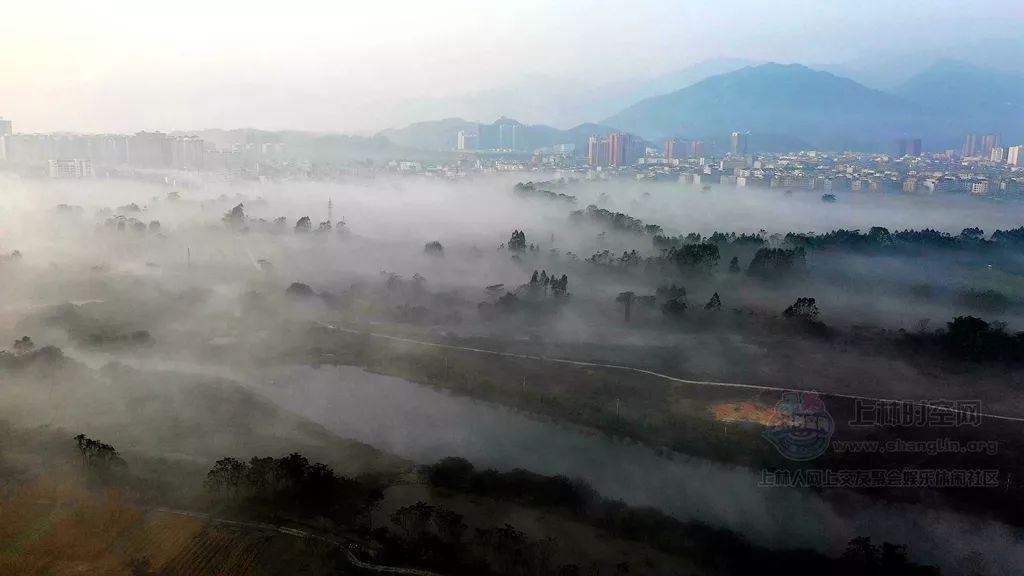 误会真的大了！这种传说中长相怪异的恶犬，对人类竟然无比温柔！